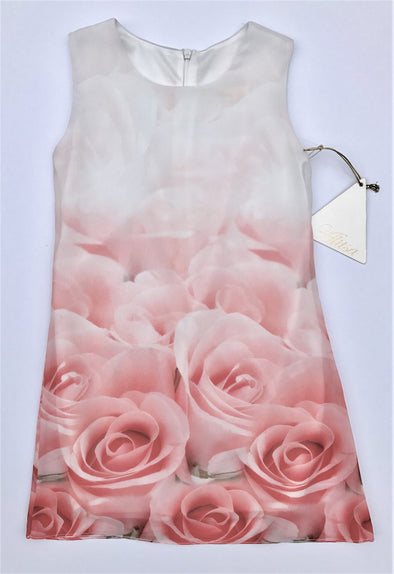 Alitsa Chiffon Sleeveless Rose Print Dressy Dress